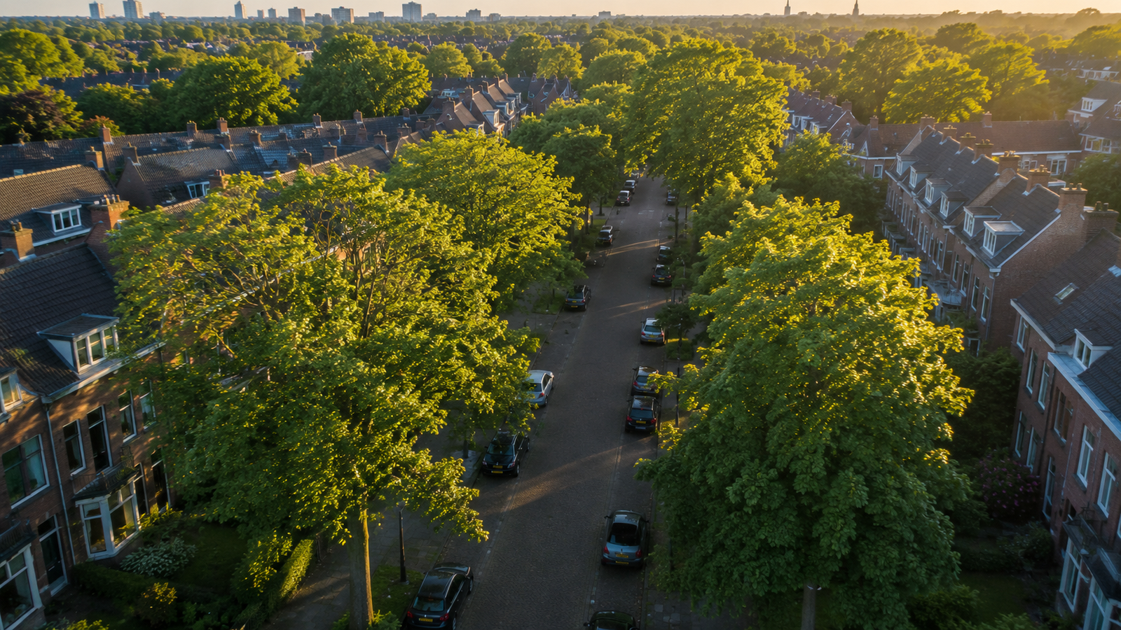 Boomverzorging Diemen