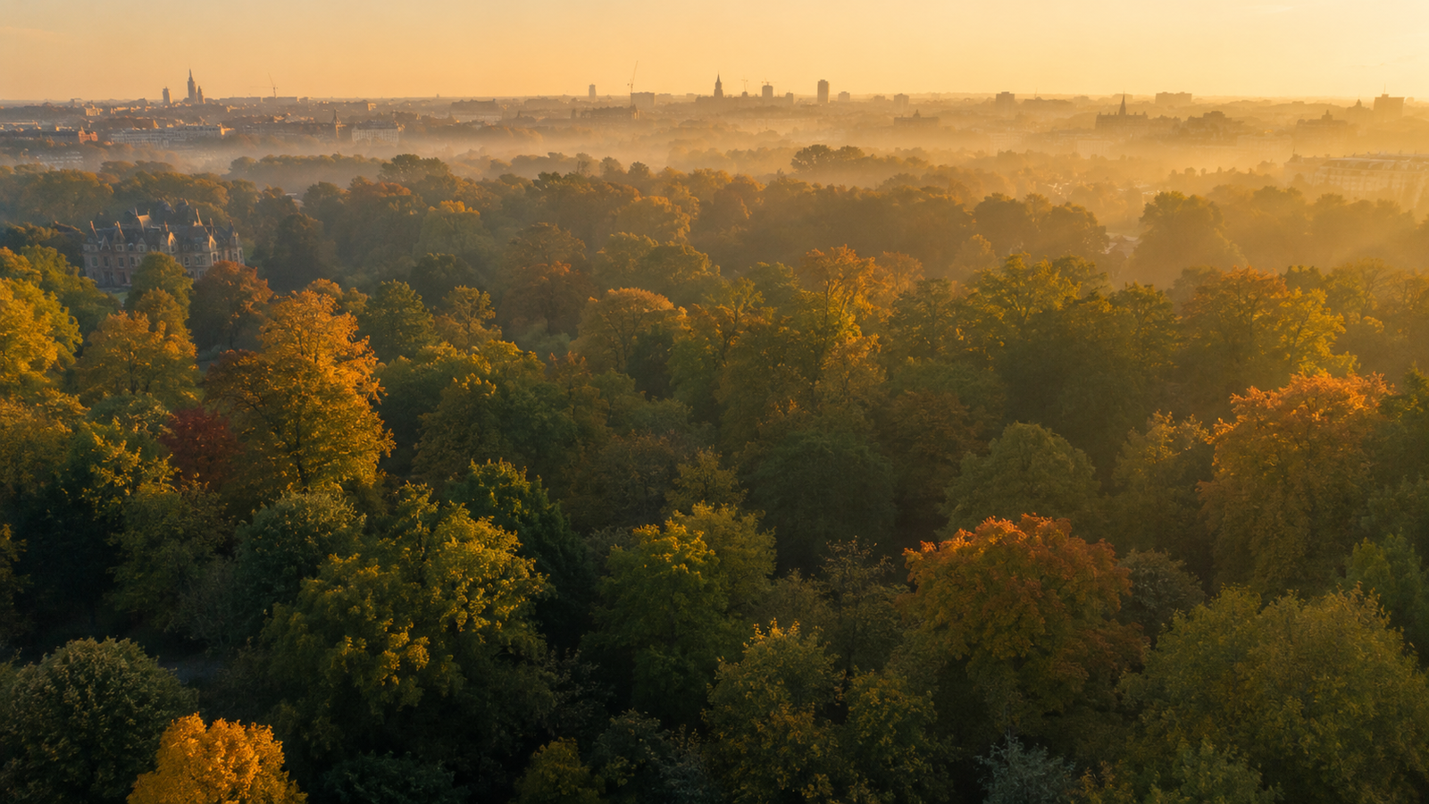 Bomen in Amsterdam